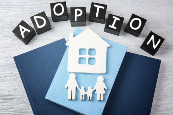 Adoption Month 2024 image